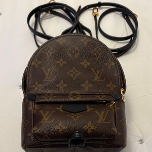 Louis Vuitton Palm Springs Mini